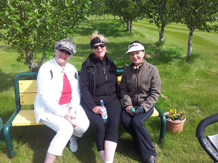 Síminn mínn 4.7.2013 238